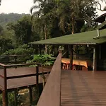 Ninho da Cambacica